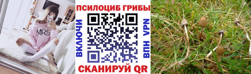 купить наркоту  Мензелинск  Галлюциногенные грибы ЛСД 